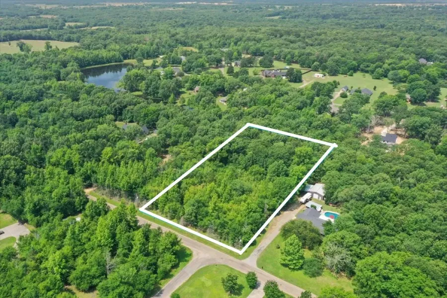 Unimproved Land For Sale in Titus County , TBD CR 4425, Mt Pleasant, Texas 75455, 0, 0, Garage spaces, 0 Sqft, built in 0, Price $79,000, mls#21267724, Real Estate Agent in Mt Pleasant, Homes For Sale in Titus county, Homes For Sale in Mt Pleasant, Realtor in Mt Pleasant Texas, Real Estate Brokerage Independent Realty Texas, Luminita Cordes Realtor