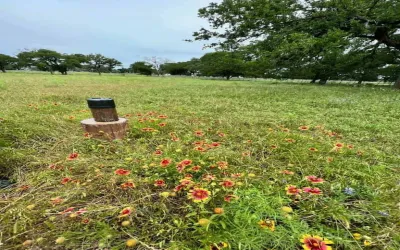 Unimproved Land For Sale in Coryell County , 317 Yellowstone Drive, Oglesby, Texas 76561, 0, 0, Garage spaces, 0 Sqft, built in 0, Price $180,000, mls#21271431, Real Estate Agent in Oglesby, Homes For Sale in Coryell county, Homes For Sale in Oglesby, Realtor in Oglesby Texas, Real Estate Brokerage Independent Realty Texas, Luminita Cordes Realtor
