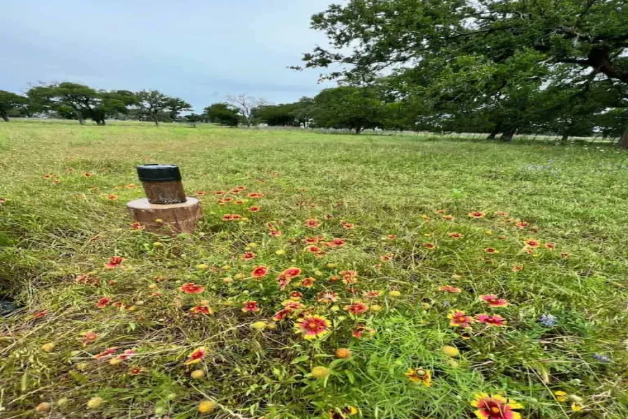 Unimproved Land For Sale in Coryell County , 317 Yellowstone Drive, Oglesby, Texas 76561, 0, 0, Garage spaces, 0 Sqft, built in 0, Price $180,000, mls#21271431, Real Estate Agent in Oglesby, Homes For Sale in Coryell county, Homes For Sale in Oglesby, Realtor in Oglesby Texas, Real Estate Brokerage Independent Realty Texas, Luminita Cordes Realtor
