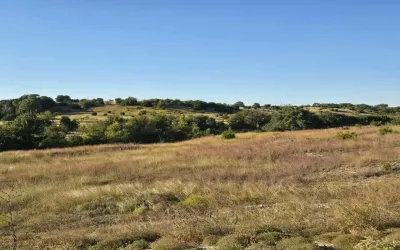 Unimproved Land For Sale in Coryell County , 229 Grand Canyon Drive, Oglesby, Texas 76561, 0, 0, Garage spaces, 0 Sqft, built in 0, Price $175,000, mls#21271441, Real Estate Agent in Oglesby, Homes For Sale in Coryell county, Homes For Sale in Oglesby, Realtor in Oglesby Texas, Real Estate Brokerage Independent Realty Texas, Luminita Cordes Realtor