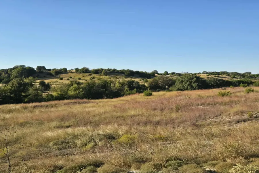 Unimproved Land For Sale in Coryell County , 229 Grand Canyon Drive, Oglesby, Texas 76561, 0, 0, Garage spaces, 0 Sqft, built in 0, Price $175,000, mls#21271441, Real Estate Agent in Oglesby, Homes For Sale in Coryell county, Homes For Sale in Oglesby, Realtor in Oglesby Texas, Real Estate Brokerage Independent Realty Texas, Luminita Cordes Realtor