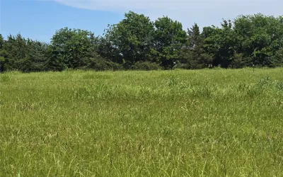 Unimproved Land For Sale in Collin County , TBD County Road 1039, Blue Ridge, Texas 75424, 0, 0, Garage spaces, 0 Sqft, built in 0, Price $649,000, mls#21271435, Real Estate Agent in Blue Ridge, Homes For Sale in Collin county, Homes For Sale in Blue Ridge, Realtor in Blue Ridge Texas, Real Estate Brokerage Independent Realty Texas, Luminita Cordes Realtor
