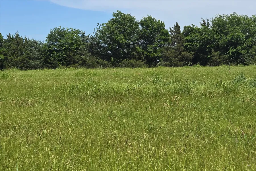 Unimproved Land For Sale in Collin County , TBD County Road 1039, Blue Ridge, Texas 75424, 0, 0, Garage spaces, 0 Sqft, built in 0, Price $649,000, mls#21271435, Real Estate Agent in Blue Ridge, Homes For Sale in Collin county, Homes For Sale in Blue Ridge, Realtor in Blue Ridge Texas, Real Estate Brokerage Independent Realty Texas, Luminita Cordes Realtor