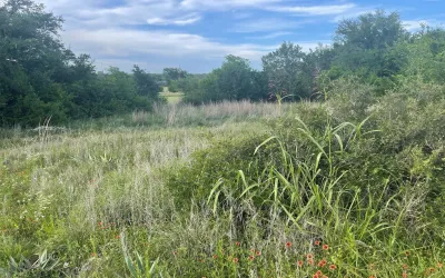 Unimproved Land For Sale in Brown County , 7128 Verde Street, Brownwood, Texas 76801, 0, 0, Garage spaces, 0 Sqft, built in 0, Price $12,000, mls#21259905, Real Estate Agent in Brownwood, Homes For Sale in Brown county, Homes For Sale in Brownwood, Realtor in Brownwood Texas, Real Estate Brokerage Independent Realty Texas, Luminita Cordes Realtor