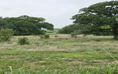 Unimproved Land For Sale in Coryell County , TBD Yosemite Drive, Oglesby, Texas 76561, 0, 0, Garage spaces, 0 Sqft, built in 0, Price $164,900, mls#21271471, Real Estate Agent in Oglesby, Homes For Sale in Coryell county, Homes For Sale in Oglesby, Realtor in Oglesby Texas, Real Estate Brokerage Independent Realty Texas, Luminita Cordes Realtor
