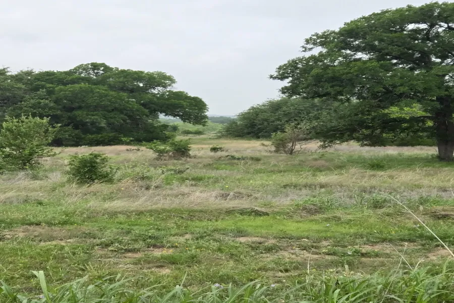 Unimproved Land For Sale in Coryell County , TBD Yosemite Drive, Oglesby, Texas 76561, 0, 0, Garage spaces, 0 Sqft, built in 0, Price $164,900, mls#21271471, Real Estate Agent in Oglesby, Homes For Sale in Coryell county, Homes For Sale in Oglesby, Realtor in Oglesby Texas, Real Estate Brokerage Independent Realty Texas, Luminita Cordes Realtor