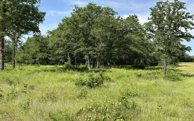 Unimproved Land For Sale in Palo Pinto County , Lot 79 Paradise Oaks, Perrin, Texas 76486, 0, 0, Garage spaces, 0 Sqft, built in 0, Price $149,000, mls#21270414, Real Estate Agent in Perrin, Homes For Sale in Palo Pinto county, Homes For Sale in Perrin, Realtor in Perrin Texas, Real Estate Brokerage Independent Realty Texas, Luminita Cordes Realtor