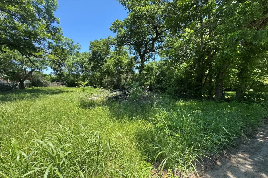 Unimproved Land For Sale in Johnson County , 703 Olive Street, Cleburne, Texas 76031, 0, 0, Garage spaces, 0 Sqft, built in 0, Price $29,000, mls#21274457, Real Estate Agent in Cleburne, Homes For Sale in Johnson county, Homes For Sale in Cleburne, Realtor in Cleburne Texas, Real Estate Brokerage Independent Realty Texas, Luminita Cordes Realtor