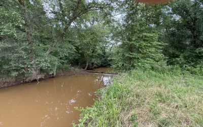 Unimproved Land For Sale in Upshur County , TBD HWY 259, Diana, Texas 75640, 0, 0, Garage spaces, 0 Sqft, built in 0, Price $474,750, mls#21274744, Real Estate Agent in Diana, Homes For Sale in Upshur county, Homes For Sale in Diana, Realtor in Diana Texas, Real Estate Brokerage Independent Realty Texas, Luminita Cordes Realtor