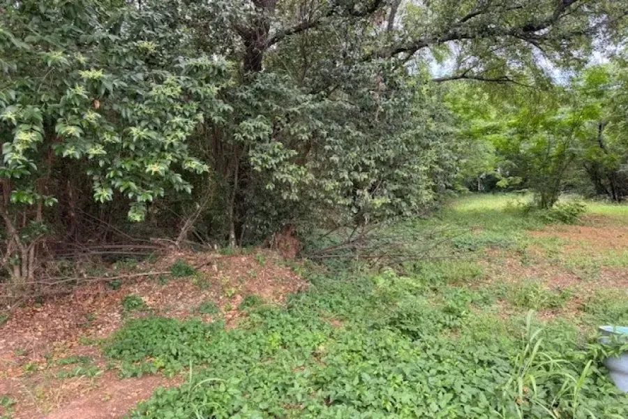 Improved Land For Sale in Hood County , 1605 S Chisholm Trail, Granbury, Texas 76048, 0, 0, Garage spaces, 0 Sqft, built in 0, Price $99,900, mls#21263078, Real Estate Agent in Granbury, Homes For Sale in Hood county, Homes For Sale in Granbury, Realtor in Granbury Texas, Real Estate Brokerage Independent Realty Texas, Luminita Cordes Realtor