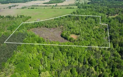 Unimproved Land For Sale in Morris County , TBD CR 1143, Daingerfield, Texas 75638, 0, 0, Garage spaces, 0 Sqft, built in 0, Price $105,000, mls#21274485, Real Estate Agent in Daingerfield, Homes For Sale in Morris county, Homes For Sale in Daingerfield, Realtor in Daingerfield Texas, Real Estate Brokerage Independent Realty Texas, Luminita Cordes Realtor