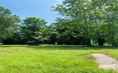 Unimproved Land For Sale in Henderson County , 610 6th Street, Chandler, Texas 75758, 0, 0, Garage spaces, 0 Sqft, built in 0, Price $30,000, mls#21276026, Real Estate Agent in Chandler, Homes For Sale in Henderson county, Homes For Sale in Chandler, Realtor in Chandler Texas, Real Estate Brokerage Independent Realty Texas, Luminita Cordes Realtor