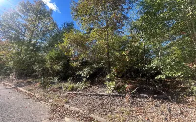 Unimproved Land For Sale in Henderson County , 10 Bayshore Drive, Athens, Texas 75752, 0, 0, Garage spaces, 0 Sqft, built in 0, Price $55,000, mls#21276070, Real Estate Agent in Athens, Homes For Sale in Henderson county, Homes For Sale in Athens, Realtor in Athens Texas, Real Estate Brokerage Independent Realty Texas, Luminita Cordes Realtor