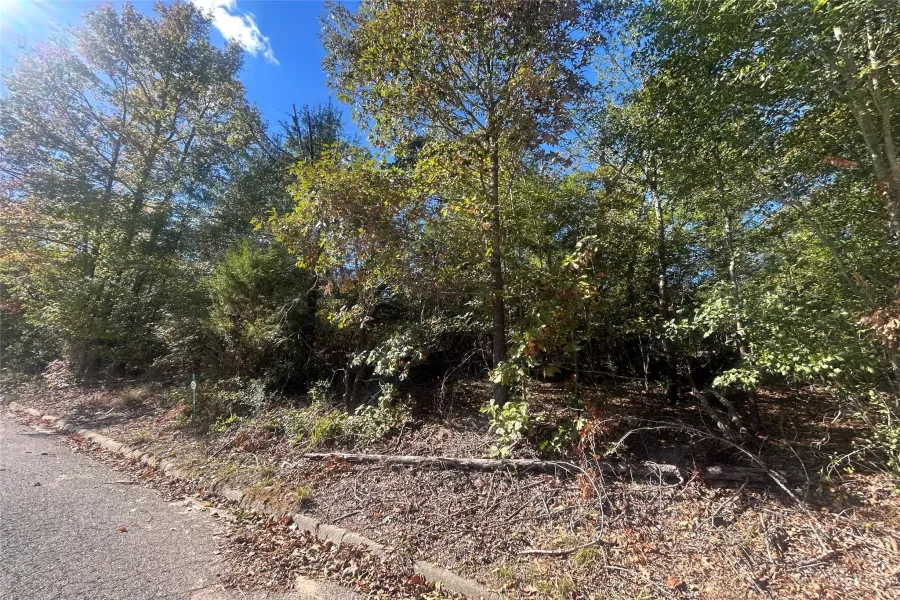 Unimproved Land For Sale in Henderson County , 10 Bayshore Drive, Athens, Texas 75752, 0, 0, Garage spaces, 0 Sqft, built in 0, Price $55,000, mls#21276070, Real Estate Agent in Athens, Homes For Sale in Henderson county, Homes For Sale in Athens, Realtor in Athens Texas, Real Estate Brokerage Independent Realty Texas, Luminita Cordes Realtor