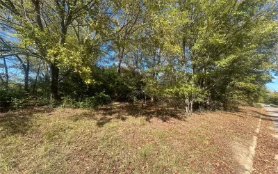 Unimproved Land For Sale in Henderson County , 9 Bayshore Drive, Athens, Texas 75752, 0, 0, Garage spaces, 0 Sqft, built in 0, Price $55,000, mls#21276071, Real Estate Agent in Athens, Homes For Sale in Henderson county, Homes For Sale in Athens, Realtor in Athens Texas, Real Estate Brokerage Independent Realty Texas, Luminita Cordes Realtor