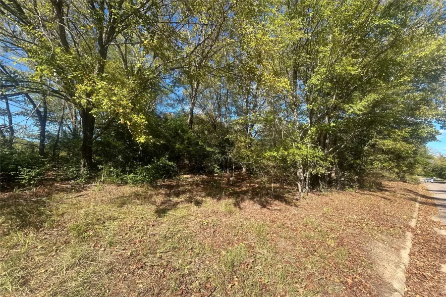 Unimproved Land For Sale in Henderson County , 9 Bayshore Drive, Athens, Texas 75752, 0, 0, Garage spaces, 0 Sqft, built in 0, Price $55,000, mls#21276071, Real Estate Agent in Athens, Homes For Sale in Henderson county, Homes For Sale in Athens, Realtor in Athens Texas, Real Estate Brokerage Independent Realty Texas, Luminita Cordes Realtor
