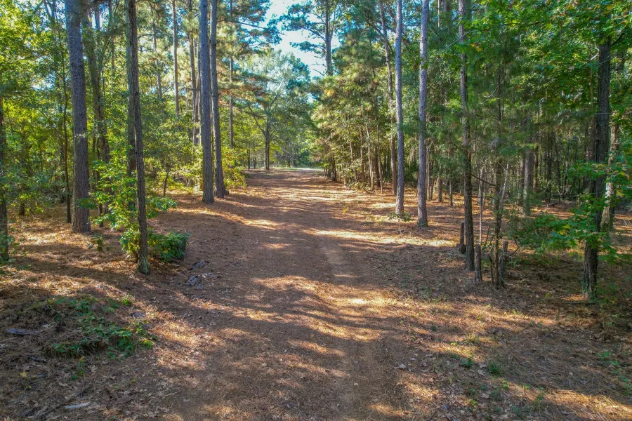 Unimproved Land For Sale in Henderson County , 7821 Cr 3409, Chandler, Texas 75758, 0, 0, Garage spaces, 0 Sqft, built in 0, Price $495,000, mls#21277749, Real Estate Agent in Chandler, Homes For Sale in Henderson county, Homes For Sale in Chandler, Realtor in Chandler Texas, Real Estate Brokerage Independent Realty Texas, Luminita Cordes Realtor