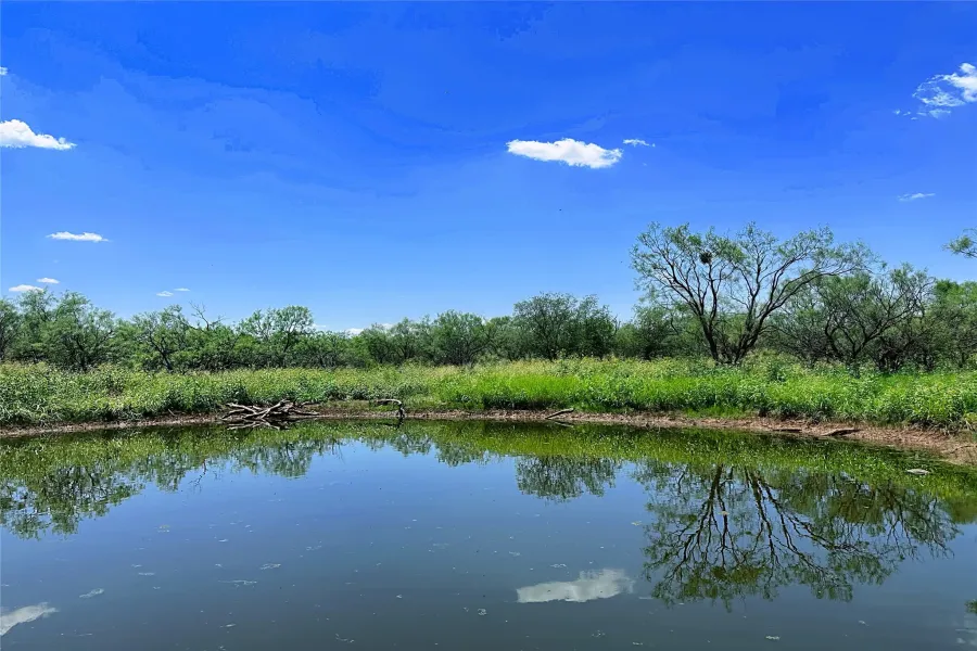Unimproved Land For Sale in Jones County , TBD (WEST TRACT) County Road 356, Anson, Texas 79501, 0, 0, Garage spaces, 0 Sqft, built in 0, Price $157,500, mls#21277748, Real Estate Agent in Anson, Homes For Sale in Jones county, Homes For Sale in Anson, Realtor in Anson Texas, Real Estate Brokerage Independent Realty Texas, Luminita Cordes Realtor