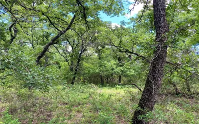 Unimproved Land For Sale in Montague County , 106 Hondo Drive, Nocona, Texas 76255, 0, 0, Garage spaces, 0 Sqft, built in 0, Price $85,000, mls#21279319, Real Estate Agent in Nocona, Homes For Sale in Montague county, Homes For Sale in Nocona, Realtor in Nocona Texas, Real Estate Brokerage Independent Realty Texas, Luminita Cordes Realtor