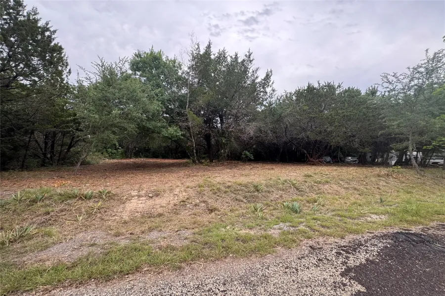 Generous lot featuring a mix of mature trees and open ground