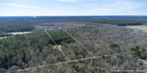 Expansive acreage with mixed tree cover