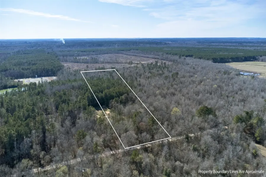 Expansive acreage with mixed tree cover