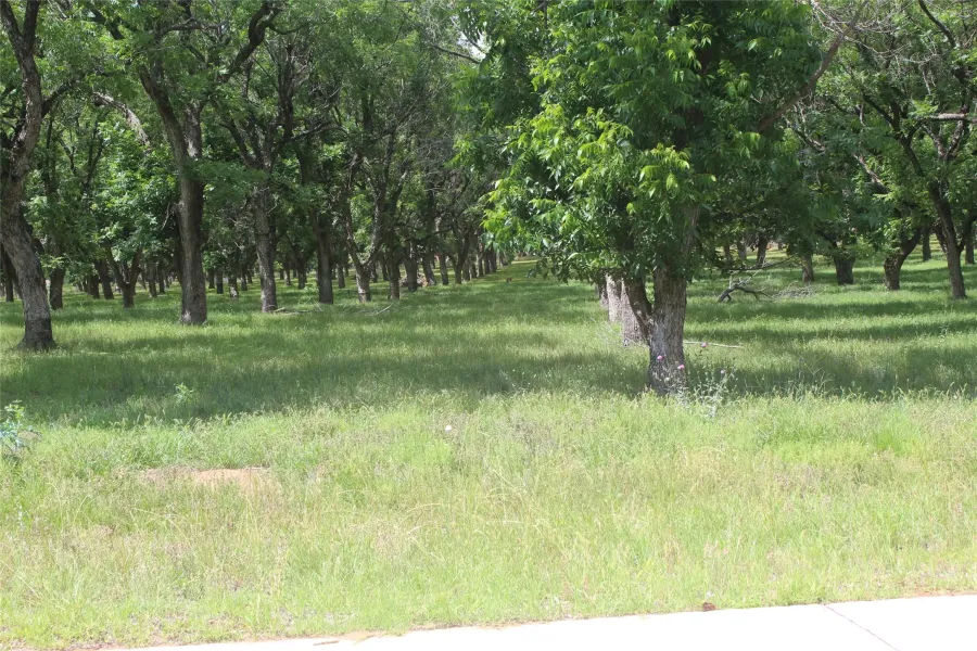 Improved Land For Sale in Johnson County , 206 Poco Bueno Court, Granbury, Texas 76049, 0, 0, Garage spaces, 0 Sqft, built in 0, Price $399,000, mls#21280920, Real Estate Agent in Granbury, Homes For Sale in Johnson county, Homes For Sale in Granbury, Realtor in Granbury Texas, Real Estate Brokerage Independent Realty Texas, Luminita Cordes Realtor