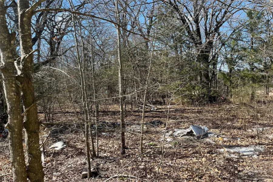 Unimproved Land For Sale in Hunt County , 0 County Road 3605, Quinlan, Texas 75474, 0, 0, Garage spaces, 0 Sqft, built in 0, Price $20,000, mls#21281286, Real Estate Agent in Quinlan, Homes For Sale in Hunt county, Homes For Sale in Quinlan, Realtor in Quinlan Texas, Real Estate Brokerage Independent Realty Texas, Luminita Cordes Realtor