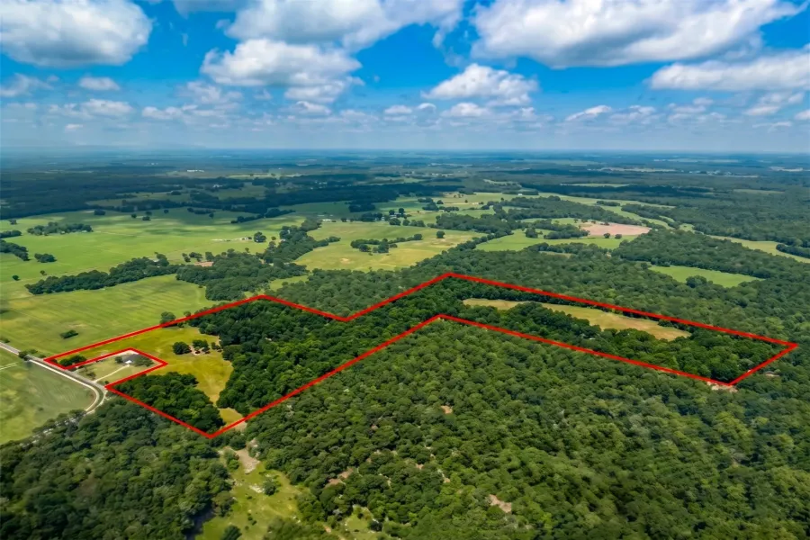 Unimproved Land For Sale in Lamar County , 958 County Road 37000, Sumner, Texas 75486, 0, 0, Garage spaces, 0 Sqft, built in 0, Price $309,900, mls#21281176, Real Estate Agent in Sumner, Homes For Sale in Lamar county, Homes For Sale in Sumner, Realtor in Sumner Texas, Real Estate Brokerage Independent Realty Texas, Luminita Cordes Realtor