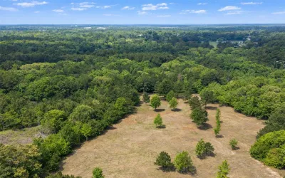 Unimproved Land For Sale in Smith County , 4552 Van Highway, Tyler, Texas 75704, 0, 0, Garage spaces, 0 Sqft, built in 0, Price $1,079,800, mls#21271917, Real Estate Agent in Tyler, Homes For Sale in Smith county, Homes For Sale in Tyler, Realtor in Tyler Texas, Real Estate Brokerage Independent Realty Texas, Luminita Cordes Realtor