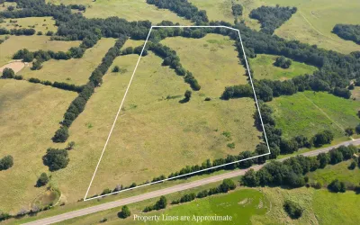 Homes for sale in Limestone - Texas USA | house for sale Limestone - Texas USA | Limestone - Texas USA Real estate services | New listings for sale Limestone - Texas USA | Land for sale in Limestone - Texas USA | Real Estate Agent in Limestone - Texas USA | Realtor in Limestone - Texas USA | Real estate agent in Limestone | What is My Home Value Limestone - Texas USA | Texas Real Estate Brokerage Independent Realty, Homes and Land in Texas by Luminita Cordes Realtor