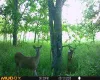 View of nature