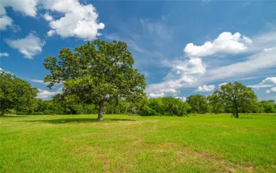 Homes for sale in Nacogdoches - Texas USA | house for sale Nacogdoches - Texas USA | Nacogdoches - Texas USA Real estate services | New listings for sale Nacogdoches - Texas USA | Land for sale in Nacogdoches - Texas USA | Real Estate Agent in Nacogdoches - Texas USA | Realtor in Nacogdoches - Texas USA | Real estate agent in Nacogdoches | What is My Home Value Nacogdoches - Texas USA | Texas Real Estate Brokerage Independent Realty, Homes and Land in Texas by Luminita Cordes Realtor