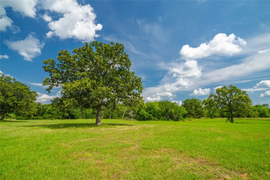 Homes for sale in Nacogdoches - Texas USA | house for sale Nacogdoches - Texas USA | Nacogdoches - Texas USA Real estate services | New listings for sale Nacogdoches - Texas USA | Land for sale in Nacogdoches - Texas USA | Real Estate Agent in Nacogdoches - Texas USA | Realtor in Nacogdoches - Texas USA | Real estate agent in Nacogdoches | What is My Home Value Nacogdoches - Texas USA | Texas Real Estate Brokerage Independent Realty, Homes and Land in Texas by Luminita Cordes Realtor