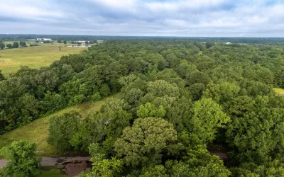 Homes for sale in Carthage - Panola - Texas USA | house for sale Carthage - Panola - Texas USA | Carthage - Panola - Texas USA Real estate services | New listings for sale Carthage - Panola - Texas USA | Land for sale in Carthage - Panola - Texas USA | Real Estate Agent in Carthage - Panola - Texas USA | Realtor in Carthage - Panola - Texas USA | Real estate agent in Carthage | What is My Home Value Carthage - Panola - Texas USA | Texas Real Estate Brokerage Independent Realty, Homes and Land in Texas by Luminita Cordes Realtor
