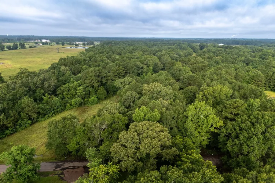Homes for sale in Carthage - Panola - Texas USA | house for sale Carthage - Panola - Texas USA | Carthage - Panola - Texas USA Real estate services | New listings for sale Carthage - Panola - Texas USA | Land for sale in Carthage - Panola - Texas USA | Real Estate Agent in Carthage - Panola - Texas USA | Realtor in Carthage - Panola - Texas USA | Real estate agent in Carthage | What is My Home Value Carthage - Panola - Texas USA | Texas Real Estate Brokerage Independent Realty, Homes and Land in Texas by Luminita Cordes Realtor