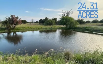 Homes for sale in Mills - Texas USA | house for sale Mills - Texas USA | Mills - Texas USA Real estate services | New listings for sale Mills - Texas USA | Land for sale in Mills - Texas USA | Real Estate Agent in Mills - Texas USA | Realtor in Mills - Texas USA | Real estate agent in Mills | What is My Home Value Mills - Texas USA | Texas Real Estate Brokerage Independent Realty, Homes and Land in Texas by Luminita Cordes Realtor