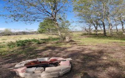 Homes for sale in Streetman - Navarro - Texas USA | house for sale Streetman - Navarro - Texas USA | Streetman - Navarro - Texas USA Real estate services | New listings for sale Streetman - Navarro - Texas USA | Land for sale in Streetman - Navarro - Texas USA | Real Estate Agent in Streetman - Navarro - Texas USA | Realtor in Streetman - Navarro - Texas USA | Real estate agent in Streetman | What is My Home Value Streetman - Navarro - Texas USA | Texas Real Estate Brokerage Independent Realty, Homes and Land in Texas by Luminita Cordes Realtor