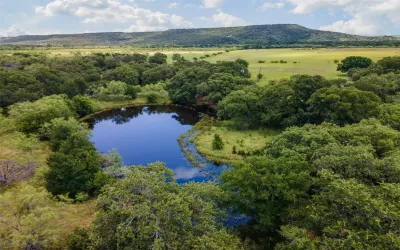 Homes for sale in Gordon - Palo Pinto - Texas USA | house for sale Gordon - Palo Pinto - Texas USA | Gordon - Palo Pinto - Texas USA Real estate services | New listings for sale Gordon - Palo Pinto - Texas USA | Land for sale in Gordon - Palo Pinto - Texas USA | Real Estate Agent in Gordon - Palo Pinto - Texas USA | Realtor in Gordon - Palo Pinto - Texas USA | Real estate agent in Gordon | What is My Home Value Gordon - Palo Pinto - Texas USA | Texas Real Estate Brokerage Independent Realty, Homes and Land in Texas by Luminita Cordes Realtor