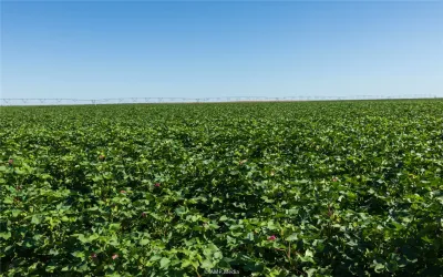 Homes for sale in Haskell - Texas USA | house for sale Haskell - Texas USA | Haskell - Texas USA Real estate services | New listings for sale Haskell - Texas USA | Land for sale in Haskell - Texas USA | Real Estate Agent in Haskell - Texas USA | Realtor in Haskell - Texas USA | Real estate agent in Haskell | What is My Home Value Haskell - Texas USA | Texas Real Estate Brokerage Independent Realty, Homes and Land in Texas by Luminita Cordes Realtor