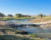 Niel's Creek
