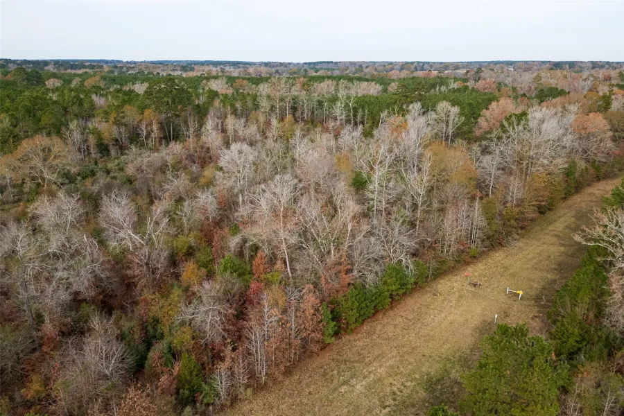 Homes for sale in Nacogdoches - Nacogdoches - Texas USA | house for sale Nacogdoches - Nacogdoches - Texas USA | Nacogdoches - Nacogdoches - Texas USA Real estate services | New listings for sale Nacogdoches - Nacogdoches - Texas USA | Land for sale in Nacogdoches - Nacogdoches - Texas USA | Real Estate Agent in Nacogdoches - Nacogdoches - Texas USA | Realtor in Nacogdoches - Nacogdoches - Texas USA | Real estate agent in Nacogdoches | What is My Home Value Nacogdoches - Nacogdoches - Texas USA | Texas Real Estate Brokerage Independent Realty, Homes and Land in Texas by Luminita Cordes Realtor