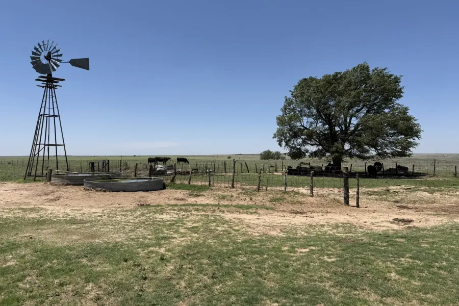 Homes for sale in Wheeler - Texas USA | house for sale Wheeler - Texas USA | Wheeler - Texas USA Real estate services | New listings for sale Wheeler - Texas USA | Land for sale in Wheeler - Texas USA | Real Estate Agent in Wheeler - Texas USA | Realtor in Wheeler - Texas USA | Real estate agent in Wheeler | What is My Home Value Wheeler - Texas USA | Texas Real Estate Brokerage Independent Realty, Homes and Land in Texas by Luminita Cordes Realtor