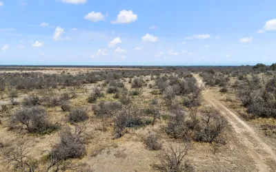 Homes for sale in Concho - Texas USA | house for sale Concho - Texas USA | Concho - Texas USA Real estate services | New listings for sale Concho - Texas USA | Land for sale in Concho - Texas USA | Real Estate Agent in Concho - Texas USA | Realtor in Concho - Texas USA | Real estate agent in Concho | What is My Home Value Concho - Texas USA | Texas Real Estate Brokerage Independent Realty, Homes and Land in Texas by Luminita Cordes Realtor