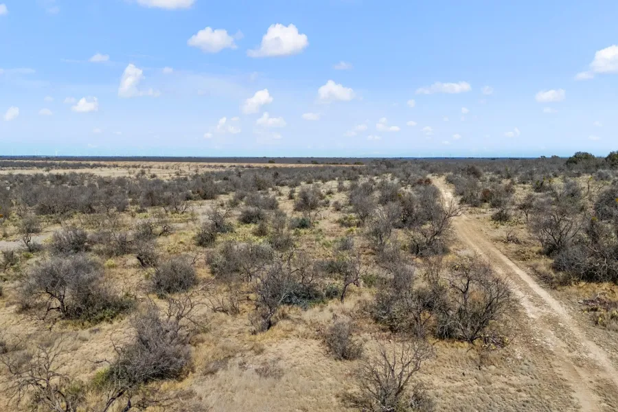 Homes for sale in Concho - Texas USA | house for sale Concho - Texas USA | Concho - Texas USA Real estate services | New listings for sale Concho - Texas USA | Land for sale in Concho - Texas USA | Real Estate Agent in Concho - Texas USA | Realtor in Concho - Texas USA | Real estate agent in Concho | What is My Home Value Concho - Texas USA | Texas Real Estate Brokerage Independent Realty, Homes and Land in Texas by Luminita Cordes Realtor