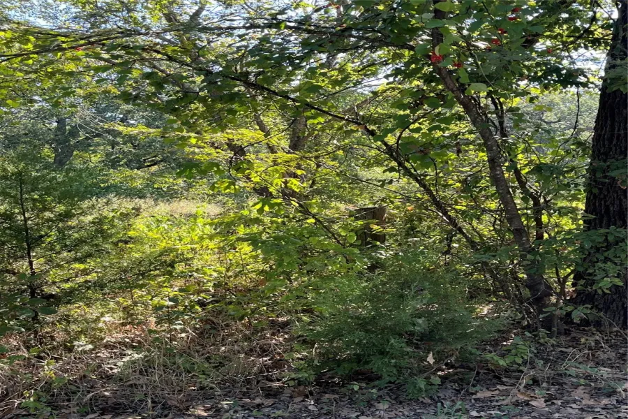 Homes for sale in Hawk Cove - Hunt - Texas USA | house for sale Hawk Cove - Hunt - Texas USA | Hawk Cove - Hunt - Texas USA Real estate services | New listings for sale Hawk Cove - Hunt - Texas USA | Land for sale in Hawk Cove - Hunt - Texas USA | Real Estate Agent in Hawk Cove - Hunt - Texas USA | Realtor in Hawk Cove - Hunt - Texas USA | Real estate agent in Hawk Cove | What is My Home Value Hawk Cove - Hunt - Texas USA | Texas Real Estate Brokerage Independent Realty, Homes and Land in Texas by Luminita Cordes Realtor
