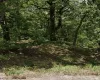   .48 Acre