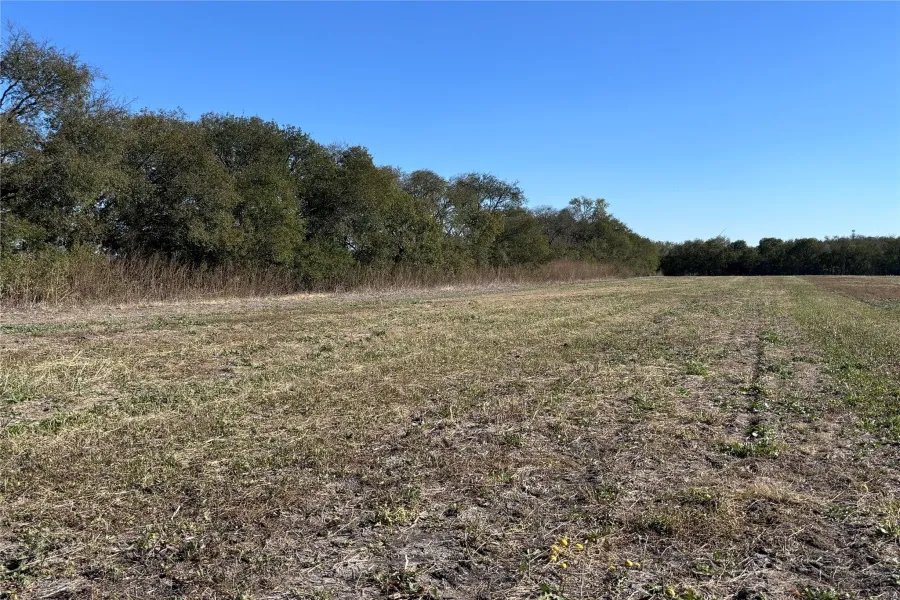 View of local wilderness featuring rural landscape