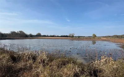 Homes for sale in Annona - Red River (TX) - Texas USA | house for sale Annona - Red River (TX) - Texas USA | Annona - Red River (TX) - Texas USA Real estate services | New listings for sale Annona - Red River (TX) - Texas USA | Land for sale in Annona - Red River (TX) - Texas USA | Real Estate Agent in Annona - Red River (TX) - Texas USA | Realtor in Annona - Red River (TX) - Texas USA | Real estate agent in Annona | What is My Home Value Annona - Red River (TX) - Texas USA | Texas Real Estate Brokerage Independent Realty, Homes and Land in Texas by Luminita Cordes Realtor