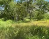 View of undeveloped land